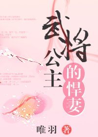 《武将公主的悍妻》