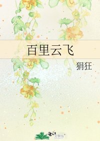 《百里云飞》