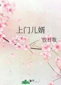《上门儿婿》