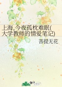 《上海,今夜孤枕难眠(大学教师的情爱笔记)》