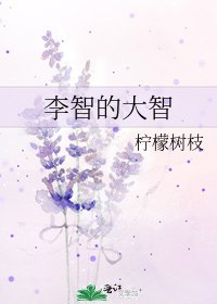 《李智的大智》