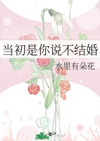《当初是你说不结婚》