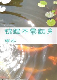 《锦鲤不需翻身》
