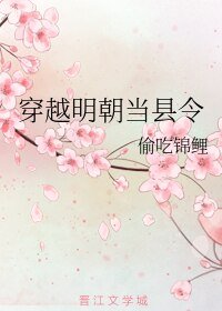 《穿越明朝当县令》