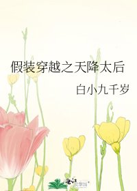 《假装穿越之天降太后》