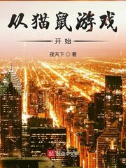 《从猫鼠游戏开始》