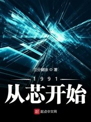 《1991从芯开始》