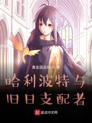 《哈利波特与旧座支陪者》