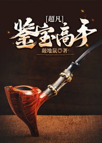 《超凡鉴保高手》