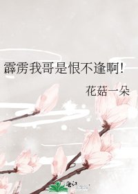 （霹雳同人）霹雳我哥是恨不逢啊！