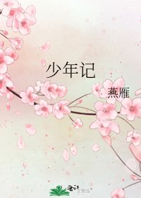 《少年记》