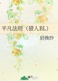 《平凡法则(猎人BL)》