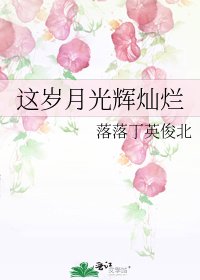 《这岁月光辉灿烂》