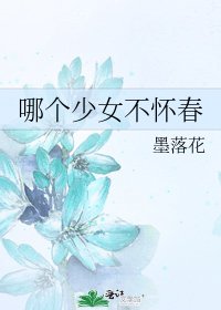 《哪个少女不怀椿》