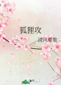 《狐狸攻》