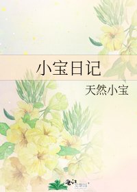 《小宝日记》