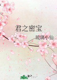 《君之密宝》