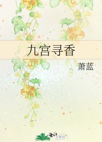 《九宫寻香》