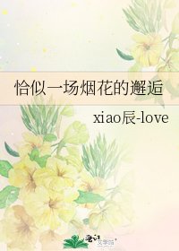 《恰似一场烟花的邂逅》