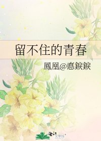 《留不住的青春》