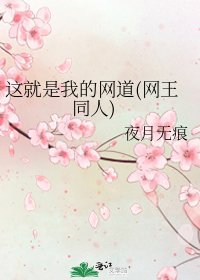 《这就是我的网道(网王同人)》