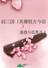 《囧三国(英雄恨古今泪)》
