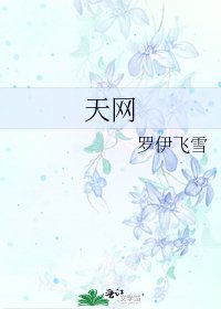 天网