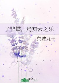 《子非蝶,焉知云之乐》