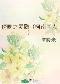 《傍晚之灵隐(柯南同人)》