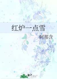 《红炉一点雪》