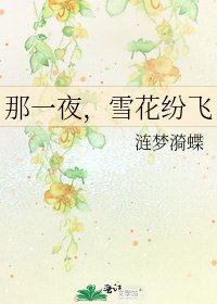 《那一夜,雪花纷飞》