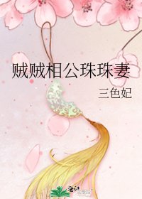 《贼贼相公珠珠妻》