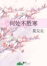 《何处不胜寒》