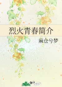 《烈火青春简介》