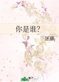 你是谁？