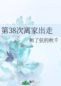 《第38次离家出走》