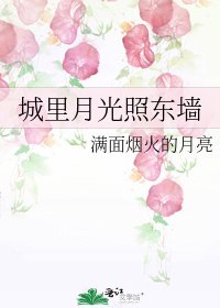 《城里月光照东墙》