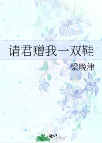 《请君赠我一双鞋》