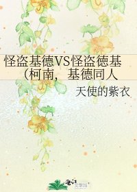 《怪盗基德VS怪盗徳基(柯南,基德同人》