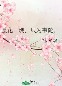 《昙花一现,只为韦陀。》
