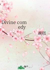 《Divine comedy》