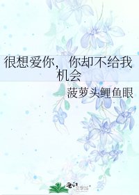 《很想爱你,你却不给我机会》