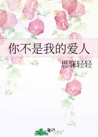 《你不是我的爱人》