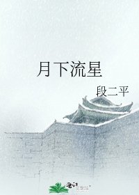 月下流星
