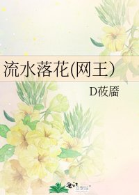 《流水落花(网王)》