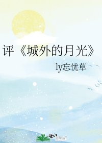 《城外的月光》