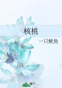 《核桃》