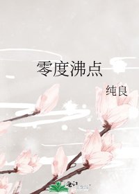 《零度沸点》
