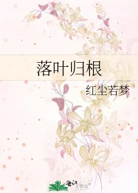 《落叶归根》