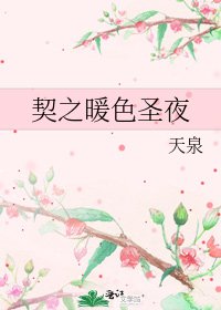《契之暖色圣夜》